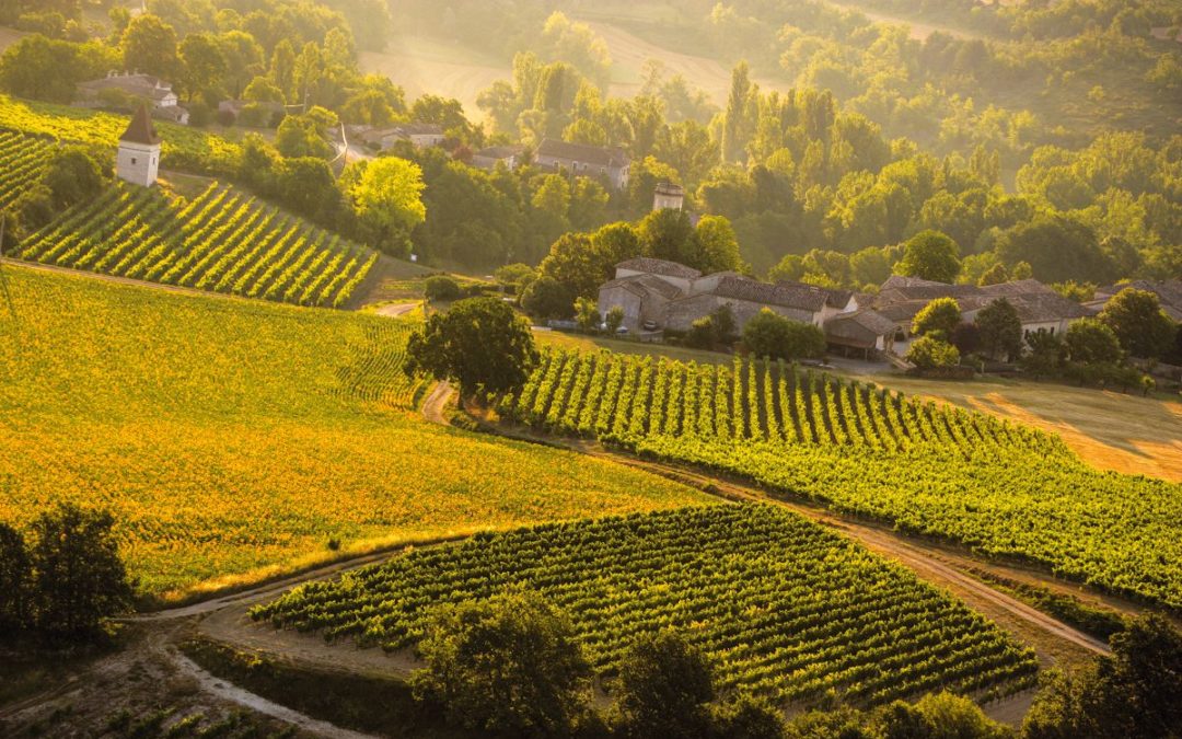 Vignobles de Gaillac : le plus ancien vignoble de France